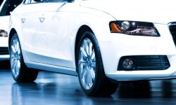 Suspendisse arcu nisl