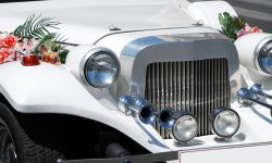 Lorem ipsum dolor sit