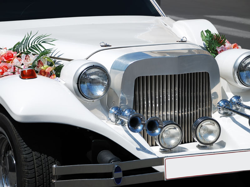 Lorem ipsum dolor sit